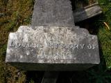 image of grave number 172039